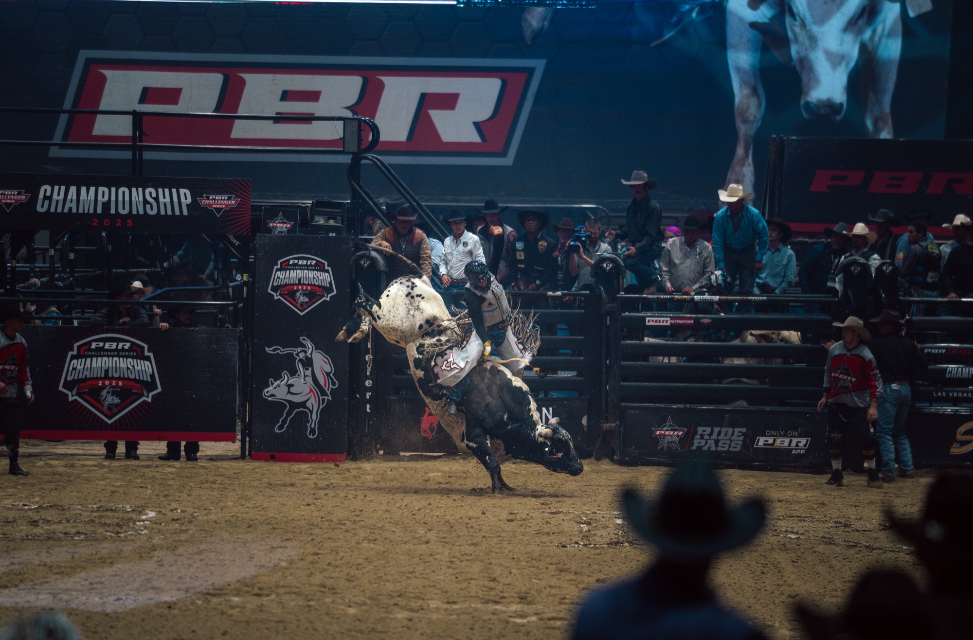 Bull riding championship action
